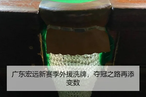 guang-dong-hong-yuan-xin-sai-ji-wai-yuan-xi-pai-duo-guan-zhi-lu-zai-tian-bian-shu-3-128.jpg
