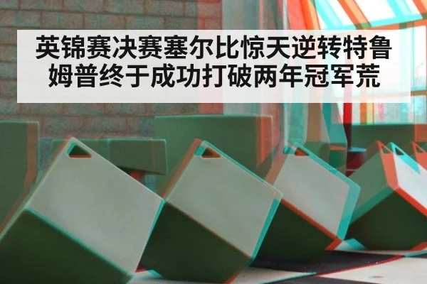 英锦赛决赛塞尔比惊天逆转特鲁姆普终于成功打破两年冠军荒
